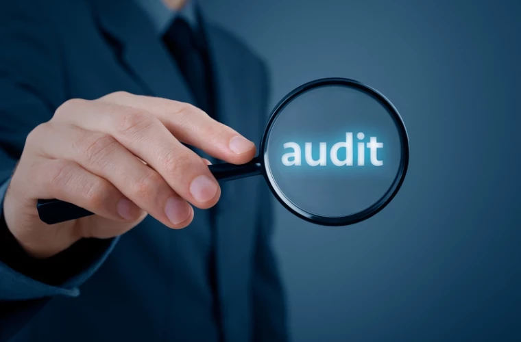 Regulatory Audits for Pension Plans
